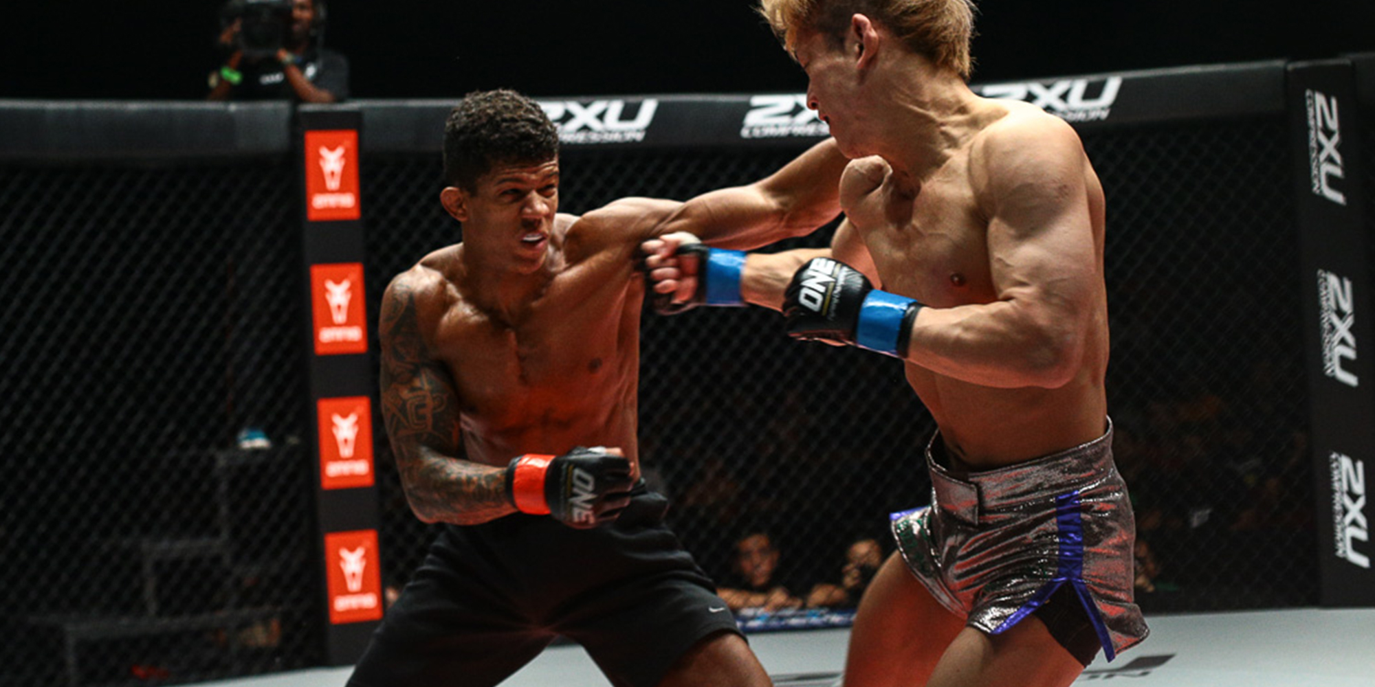 A Quick Guide to MMA